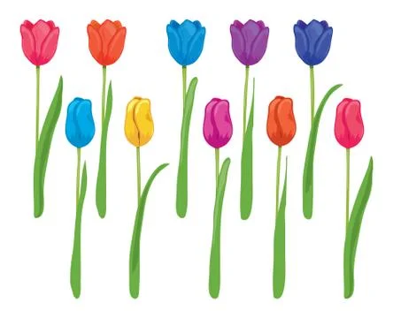 Vector set of colorful tulips Stock Illustration