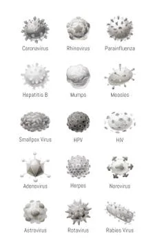 Vector set of common viruses. Models of pathogens Stock Illustration