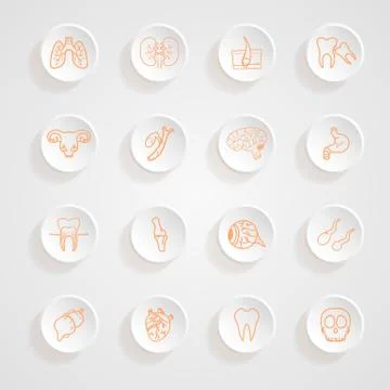 Vector set of contour of internal human  icons button shadows  vector set Stock Illustration