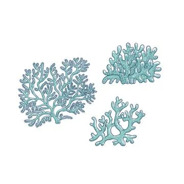 Vector set corals. Three types polyps monochrome outline sketch illustration Stock Illustration
