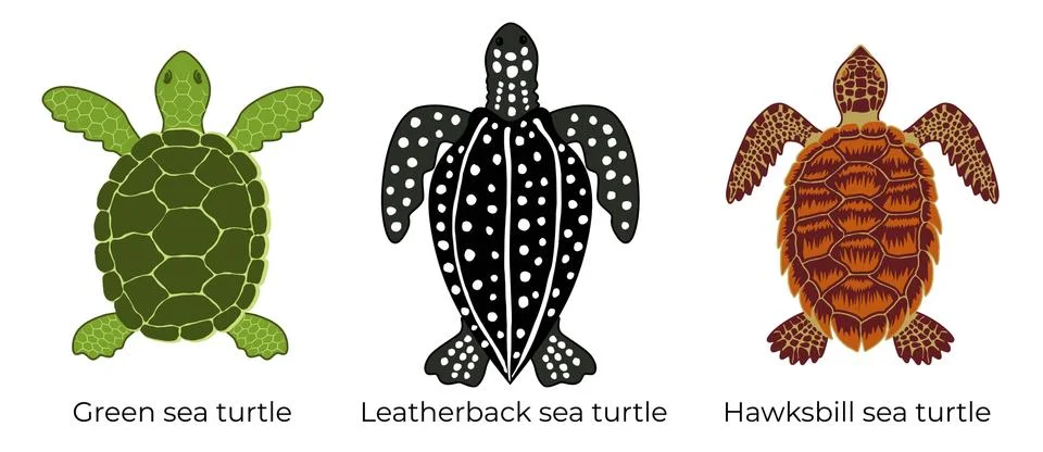Vector set of critically endangered sea turtles Иллюстрация