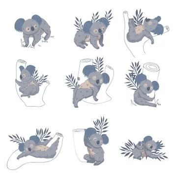 Vector set of cute koalas on eucalyptus trees and branches. Australian marsupial 스톡 일러스트