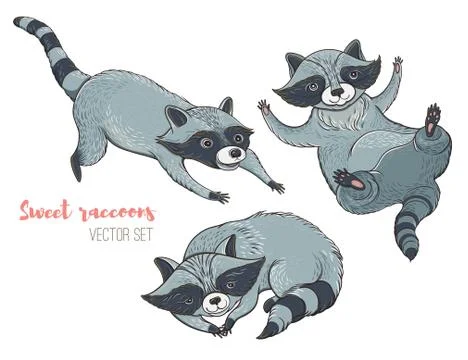 Vector set of cute raccoons Stock Illustration