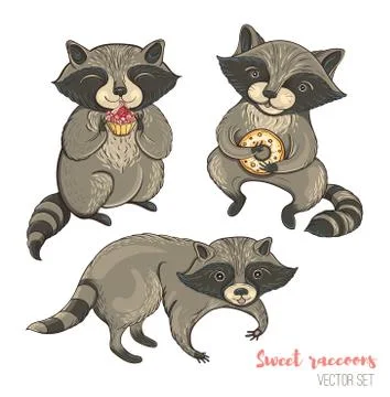Vector set of cute raccoons Stock Illustration