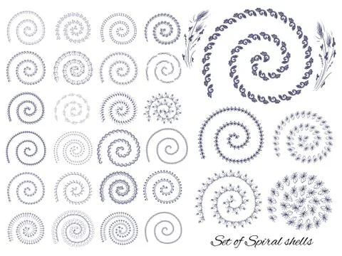 Vector set  decor icon elements - spiral shells with different ornaments Stock Illustration