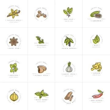 Vector set design colorful templates logo and emblems - herbs and spices Stock Illustration