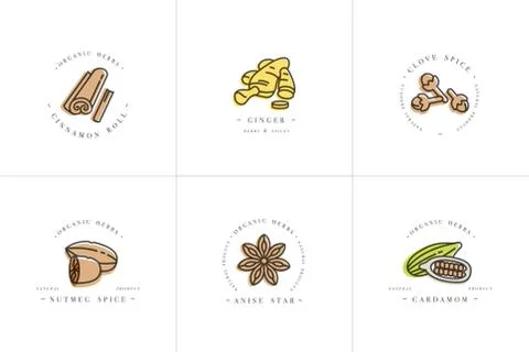 Vector set design colorful templates logo and emblems - herbs and spices Illustrazione stock