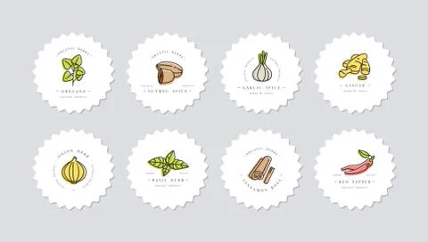 Vector set design colorful templates logo and emblems - herbs and spices Stock Illustration