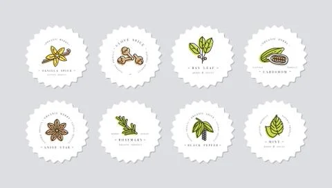 Vector set design colorful templates logo and emblems - herbs and spices Stock Illustration