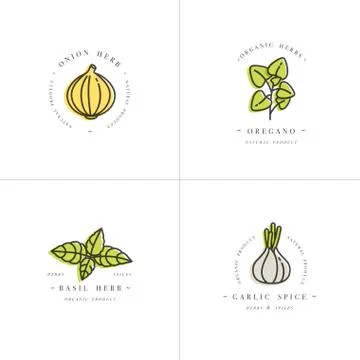 Vector set design colorful templates logo and emblems - herbs and spices Stock Illustration