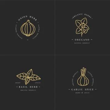 Vector set design golden templates logo and emblems - herbs and spices. Italian Stock Illustration