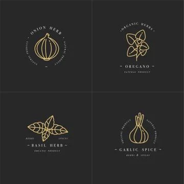 Vector set design golden templates logo and emblems - herbs and spices. Italian Stock Illustration