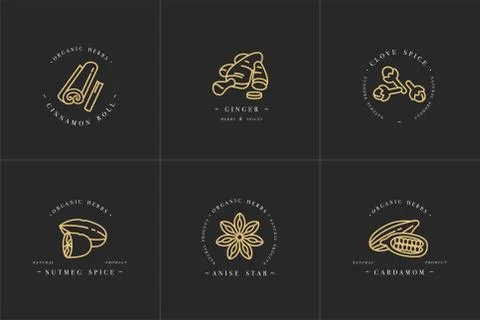 Vector set design golden templates logo and emblems - herbs and spices Stock Illustration
