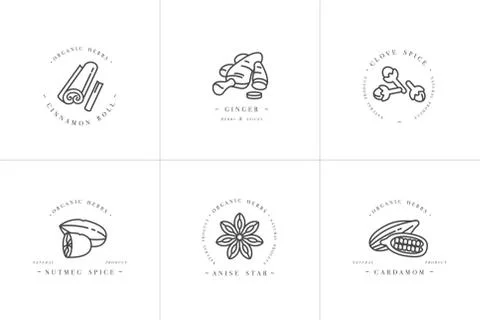 Vector set design monochrome templates logo and emblems - herbs and spices Stock Illustration