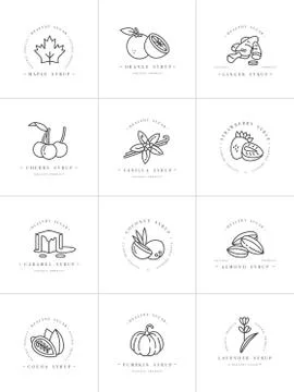 Vector set design monochrome templates logo and emblems - syrups and toppings Stock Illustration