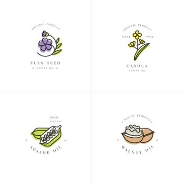Vector set design templates and emblems - healthy and cosmetics oils - flax seed Illustrazione stock