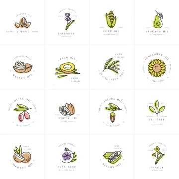 Vector set design templates and emblems - healthy and cosmetics oils. Different Stock Illustration