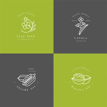 Vector set design templates and emblems - healthy and cosmetics oils - flax seed Stock Illustration