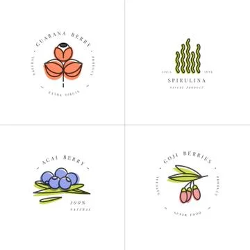 Vector set design templates and emblems - healthy eco food - camu camu Stock Illustration