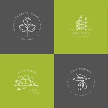 Vector set design templates and emblems - healthy eco food - camu camu Stock Illustration