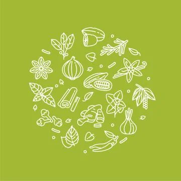 Vector set design templates icon and emblems - herbs and spices. Different Stock Illustration