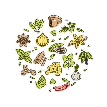 Vector set design templates icon and emblems - herbs and spices. Different Stock Illustration