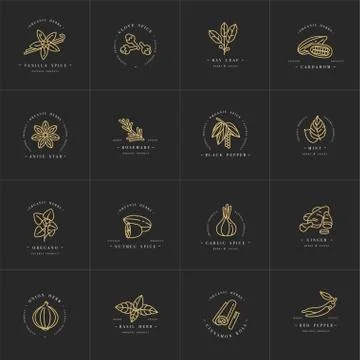 Vector set design templates monochrome logo and emblems - herbs and spices Stock Illustration