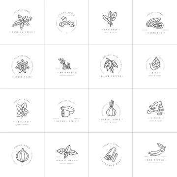 Vector set design templates monochrome logo and emblems - herbs and spices Stock Illustration