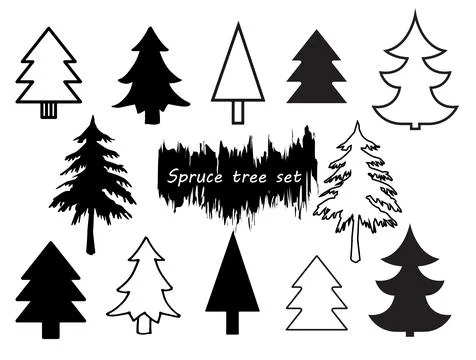 Vector set of different coniferous trees silhouettes Stock Illustration