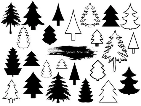 Vector set of different coniferous trees. Christmas elements Stock Illustration