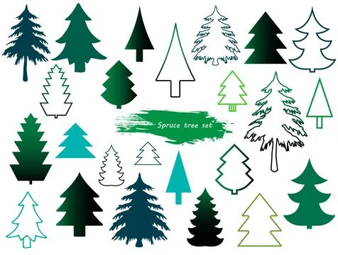 Vector set of different coniferous trees. Christmas elements Stock Illustration