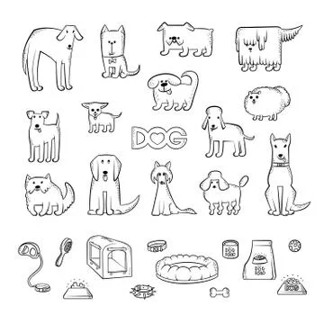Vector set of different dog breeds. Items for caring for a pet and feeding Stock-Illustration