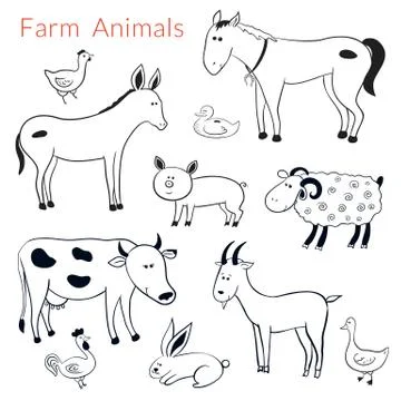 Vector set of different farm animals Stock Illustration