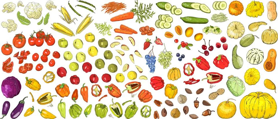 Vector set of different fresh vegetables. Hand drawn elements for your design 스톡 일러스트