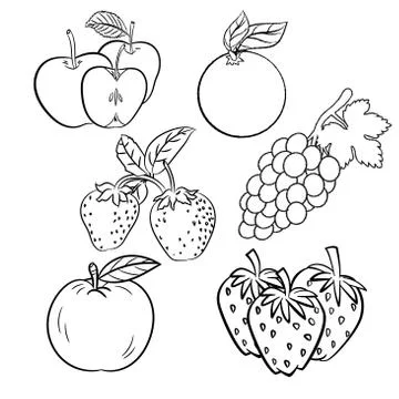 Vector set of different hand drawn fruits-Vector sketch Design Stock Illustration
