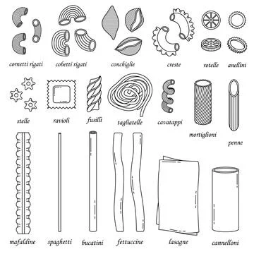 The vector set of different types of italian pasta. Line art and simple style Stock-Illustration