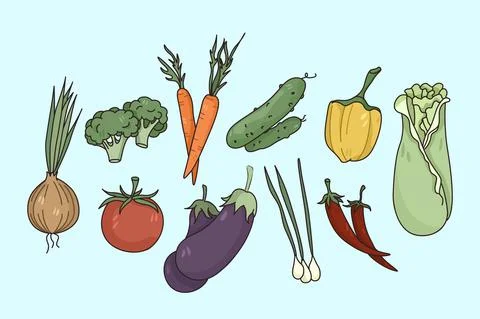 Vector set of diverse fresh vegetables Stock Illustration