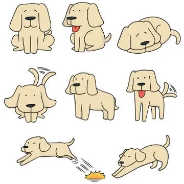 Vector set of dog, labrador retriever Stock Illustration