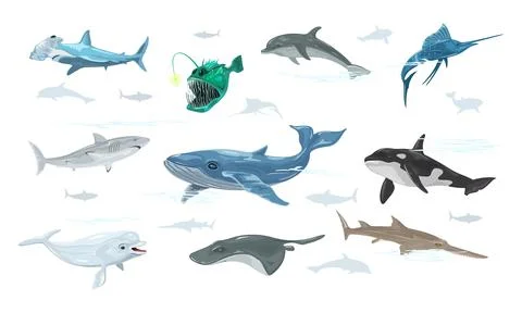 Vector set of dolphin, anglerfish, swordfish, whale, shark, sawfish, beluga Stock Illustration