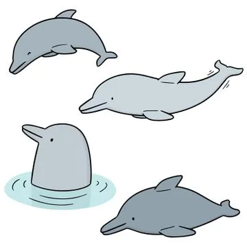 Vector set of dolphin Stock Illustration