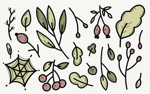 Vector set of doodle autumn botany floral elements. Herbs, berries, leaves. Stock Illustration