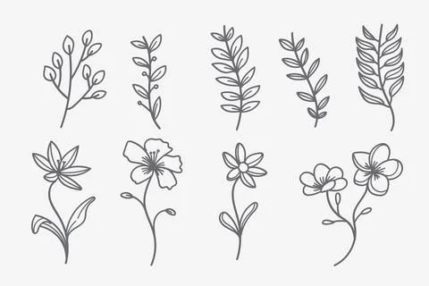Vector set of doodle flower and leaf elements. Autumn and spring collection.. Stock Illustration