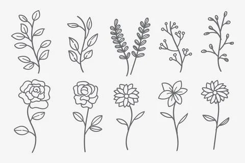 Vector set of doodle flower and leaf elements.Autumn and spring collection Stock Illustration