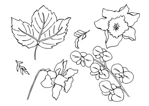Vector set of doodle flowers Stock Illustration