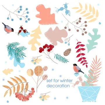 Vector Set of Dried branches and grass. Winter decoration for postcards, sticker Stock-Illustration