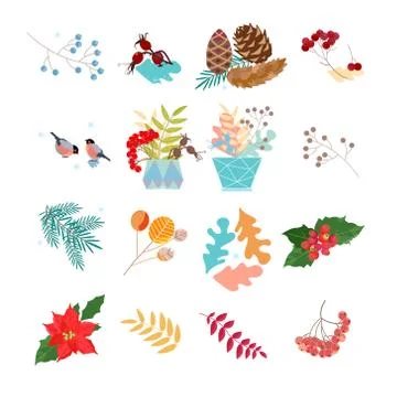 Vector Set of Dried branches and grass. Winter decoration for postcards, sticker Stock Illustration