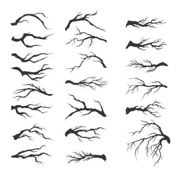 Vector set dry tree branches Stock Illustration