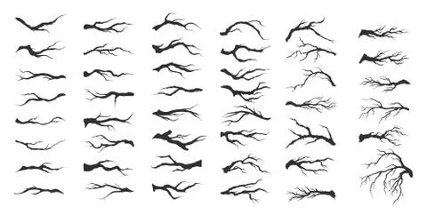 Vector set dry tree branches Stock Illustration