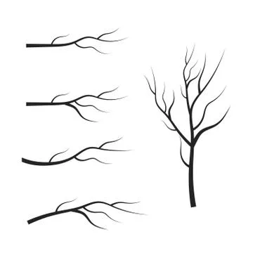 Vector set dry tree branches. Leaves, swirls and floral elements 스톡 일러스트