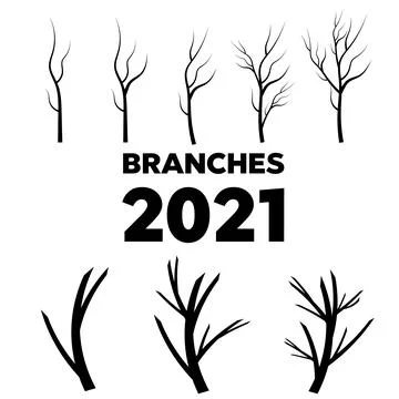 Vector set dry tree branches. Leaves, swirls and floral elements Illustrazione stock